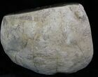 Calcite Crystal Filled Septarian Geode - Utah #33127-4